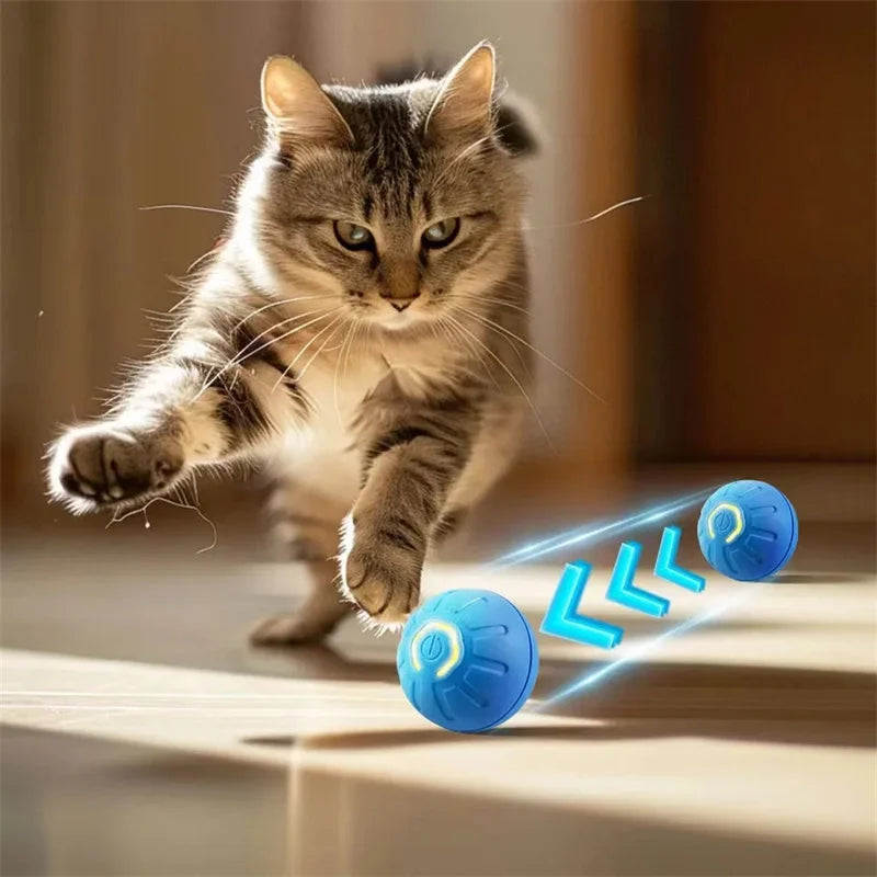 Automatic Moving And Bouncing Ball For Dogs And Cats