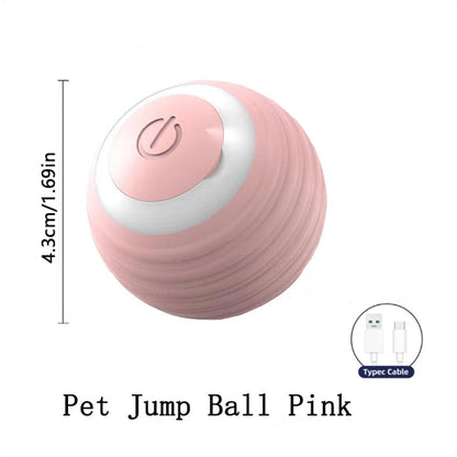 Automatic Moving And Bouncing Ball For Dogs And Cats